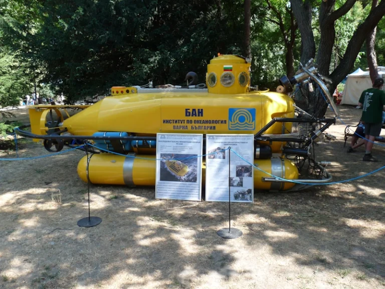 Scientific Mini Submarine RS-8-B 003